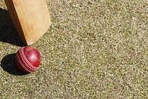 Sport, Ball, Cricket, Bat and ball next to stumps.