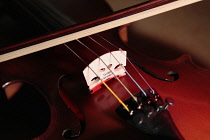 Music, Instruments, Strings, Close up detail of Violin showing bridge and strings.