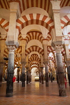 Spain, Andalucia, Cordoba, The Hypostyle Hall of the Mezquita Cathedral.
