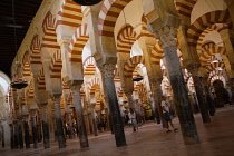 Spain, Andalucia, Cordoba, The Hypostyle Hall of the Mezquita Cathedral.