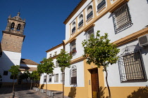 Spain, Andalucia, Cordoba, Iglesia de Santa Maria and houses on Plaza Santa Marina.