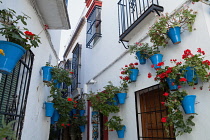 Spain, Andalucia, Cordoba, Calle de las Floras .