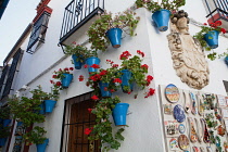 Spain, Andalucia, Cordoba, Calle de las Floras and souvenir shop.