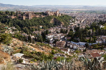 Spain, Andalucia, Granada, Panorama of the Alhambra and Albayzin district with Granada city in the background from the viewpoint at Iglesia de San Miguel.