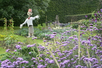 Scotland, Edinburgh, Royal Botanic Gardens, planting & scarecrow in the Demonstration Garden.