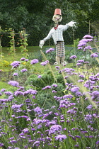 Scotland, Edinburgh, Royal Botanic Gardens, planting & scarecrow in the Demonstration Garden.