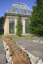 Scotland, Edinburgh, Royal Botanic Gardens, Tree fossil with Palm House.