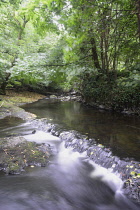 Scotland, Edinburgh, Water of Leith Walkway, flowing river, Water of Leith.