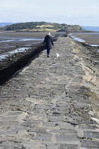 Scotland, Edinburgh, Cramond, causeway to Cramond Island nature reserve.