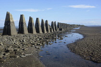 Scotland, Edinburgh, Cramond, low tide to Cramond Island.