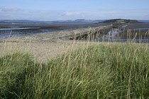 Scotland, Edinburgh, Cramond, view at low tide of Cramond Island and causeway.