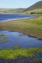 Scotland, Edinburgh, Pentland Hills, Threipmuir Reservoir.