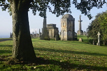 Scotland, Glasgow, Necropolis, tombs and obelisks and trees.
