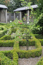 Scotland, Glasgow, Provand's Lordship, Physic Garden.