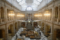 Scotland, Glasgow, West End, Kelvingrove Art Gallery and Museum, exhibits suspended in the West Court.