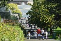 Scotland, Glasgow, West End, Botanic Gardens, path towards glasshouses and the Kibble Palace.