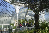 Scotland, Glasgow, West End, Botanic Gardens, the Kibble Palace, palms and interior.