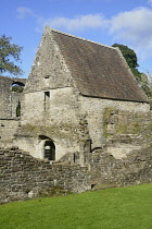Scotland, Loch Lomond, Priory of Inchmahome, 12thC ruins of Augustinian priory.