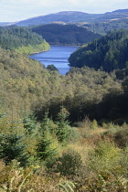 Scotland, Loch Lomond & Trossachs , views onto Loch Achray.