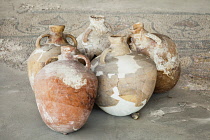Romania, Constanta, Ceramic pots in the Roman Mosaic Museum, also known as the Roman Edifice.