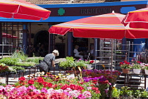 Croatia, Zagreb, Old town, Fresh flowers for sale in Dolac market.