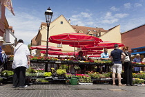 Croatia, Zagreb, Old town, Fresh flowers for sale in Dolac market.