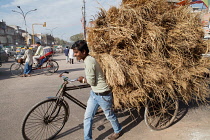 India, Delhi, A man hauls a bicycle laden with hay through the streets of Delhi.