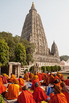 India, Bihar, Bodhgaya, Monks praying at the Mahabodhi Temple in Bodhgaya.