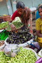 India, Telengana, Secunderabad, Eggplant or aubergine vendor at the vegetable market in Secunderabad.