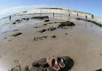 England, East Sussex, Birling Gap, View along pebble beach with the Seven Sisters white chalk cliffs.