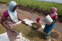 India, Tamil Nadu, Women sifting mustard seeds in rural Tamil Nadu.