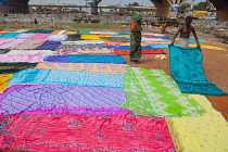 India, Tamil Nadu, Madurai, Dhobi wallahs spread out laundered saris to dry in the sun.