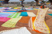 India, Tamil Nadu, Madurai, Dhobi wallahs spread out laundered saris to dry in the sun.