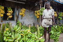 India, Tamil Nadu, Madurai, Banana wholesale vendor in the market at Madurai.