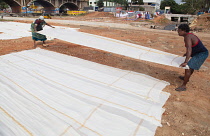 India, Tamil Nadu, Madurai, Dhobi wallahs spread out laundered sheets to dry in the sun.