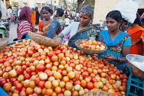 India, Karnataka, Hospet, Tomato vendor in the market at Hospet.