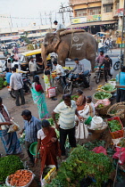 India, Karnataka, Harihar, Elephant in the market at Harihar.