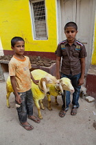 India, Karnataka, Mysore, Muslim boys with yellow painted sheep.