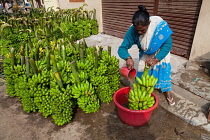 India, Karnataka, Mysore, A woman washes bananas at Devaraja Market in Mysore.