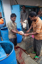 India, Karnataka, Mysore, Chicken abbatoir in Devaraja Market in Mysore.