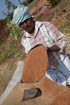 India, Karnataka, Farmer winnowing mustard seeds in rural Karnataka.