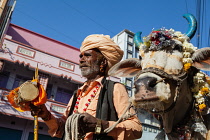 India, Madhya Pradesh, Ujjain, Saddhu and holy cow in Ujjain.