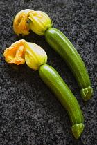 Courgette, Curcubito pepo, two freshly harvested zucchini with flowers intact.