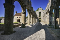 Ireland, County Roscommon, Boyle, Boyle Abbey, 12th century Cistercian ruin.