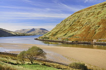 Ireland, County Galway, Killary Harbour near Leenane dividing counties Galway and Mayo.