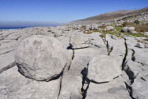 Ireland, County Clare, The Burren, Rock boulders at Black Head.