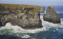 Ireland, County Clare, Dramatic cliff scenery near Kilkee.