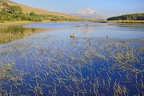 Ireland,County Donegal, Clady River with Mount Errigal in the distance.
