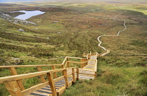 Ireland, County Fermanagh, Cuilcagh Mountain Park, Legnabrocky Trail.