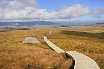 Ireland, County Fermanagh, Cuilcagh Mountain Park, Legnabrocky Trail.